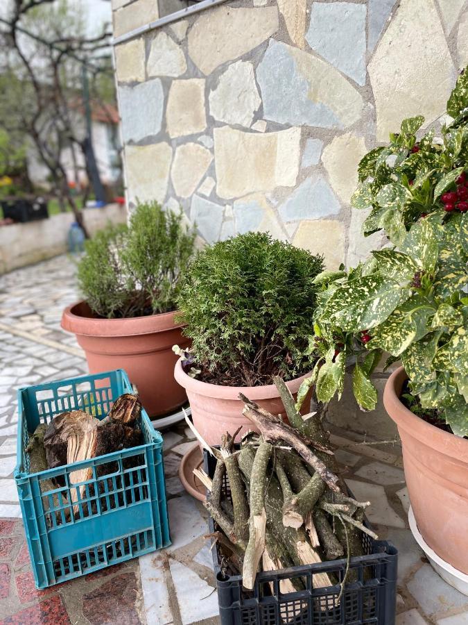 Kasaj Villa Gjirokastra Zewnętrze zdjęcie